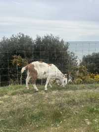 My bournemouth trip
