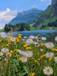 Hiking in Appenzell🇨🇭 A Hidden Alpine Gem!
