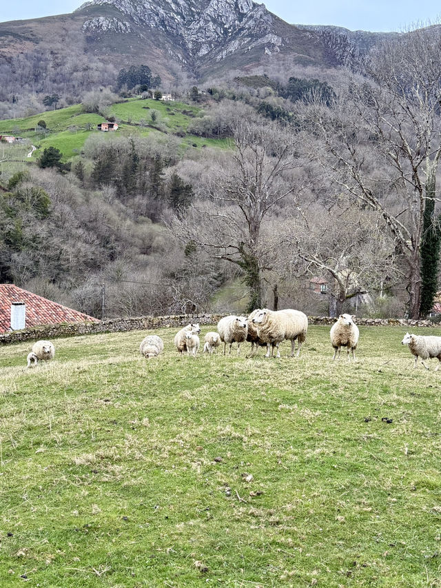 Your Perfect Day in Asturias 🏔️