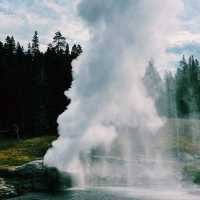 🥾 Top Hikes in Yellowstone National Park 🌲🦌