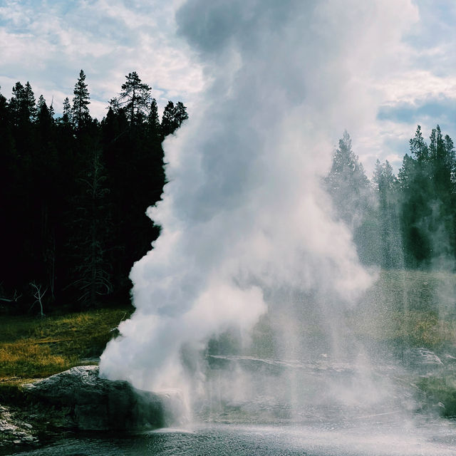 🥾 Top Hikes in Yellowstone National Park 🌲🦌