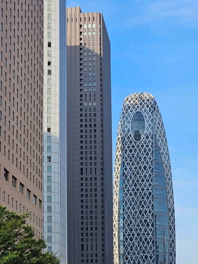 Skyscraper Views and City Pulse in Shinjuku’s Financial District