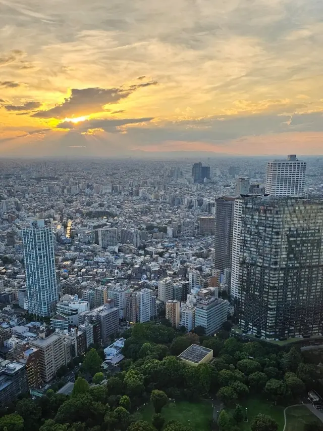 Tokyo From Above, For Free!