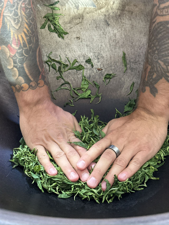 Making your own tea in Georgia