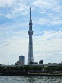 🌸 Seasonal Tokyo: What to See in Spring, Summer, Autumn, and Winter