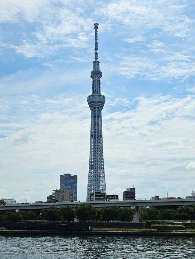 🌸 Seasonal Tokyo: What to See in Spring, Summer, Autumn, and Winter