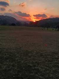 South African sunsets 🌇