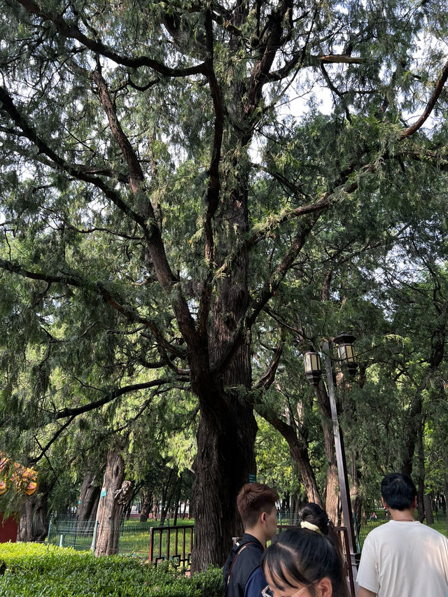 Temple of Earth Park