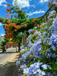 Heybeliada & Büyükada: Tranquil Escapes of the Princes’ Islands