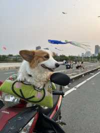 A fantastic festival in Ho Chi Minh 