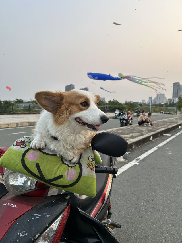 A fantastic festival in Ho Chi Minh 