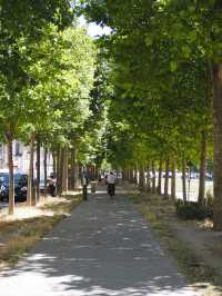 A day in Paris