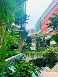 City of the Future: Shenzhen solo travel 