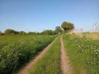 Magor Marsh and the Caldicot Levels 