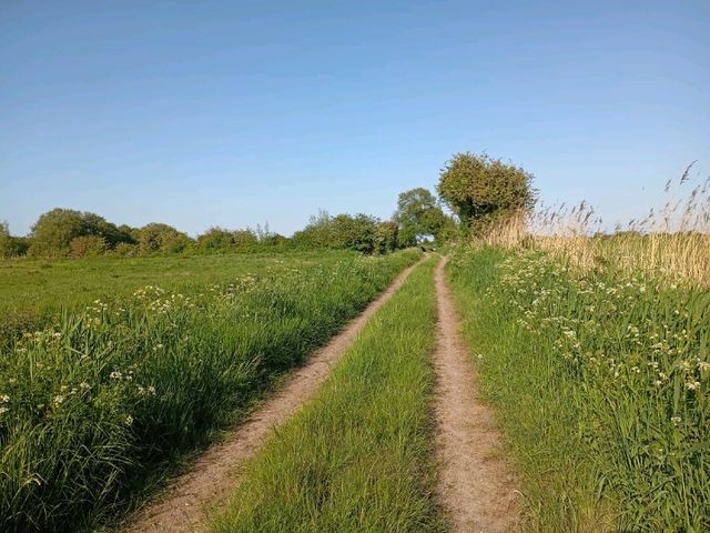 Magor Marsh and the Caldicot Levels 