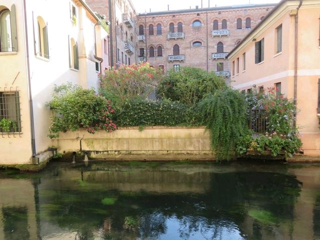 Treviso Treasures: See, Do & Spooky Halloween Vibes! 👻 Treviso Treasures: See, Do & Spooky Halloween Vibes! 👻