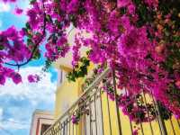 Mystical Halloween on Symi: Ghosts Amidst the Dodecanese Glow
