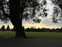 🌳 Discover Roundwood Park, Brent – A Hidden Green Gem in London! 🌳