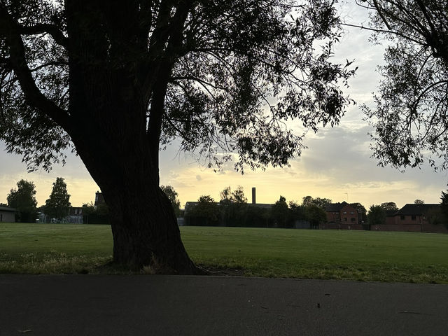 🌳 Discover Roundwood Park, Brent – A Hidden Green Gem in London! 🌳