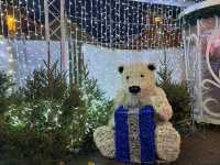 Christmas Cosy Vibes🏠