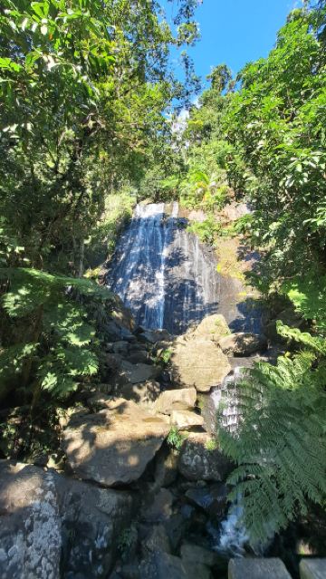 Where the Rain Breathes: the rainforest of El Yunque, Puerto Rico