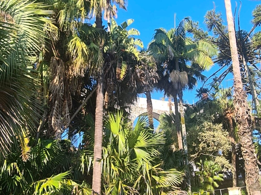 beautiful walks in the gardens