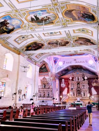Bohol Reborn: Nature, Heritage & Sustainable Wonders 🇵🇭