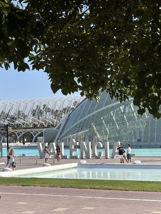 🏊 How Is Living There: Swimming, Running, and Living My Best Life in Valencia 🌞