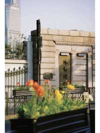 Spring Plog of Yumeiren on the Bund