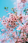 ลากคนรู้ใจไปกางเต็นท์