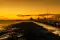 feralia_6275