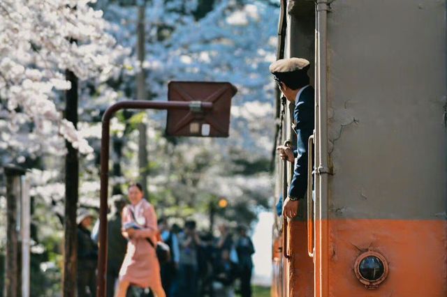 Cherry Blossom Train | Ashino Park in Aomori Prefecture, Japan