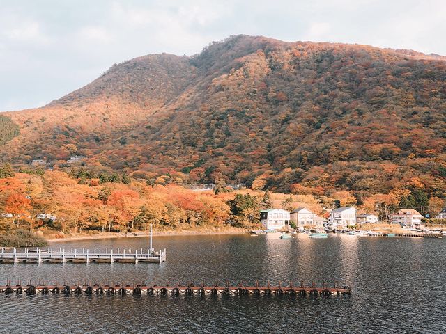 遊箱根🇯🇵蘆之湖