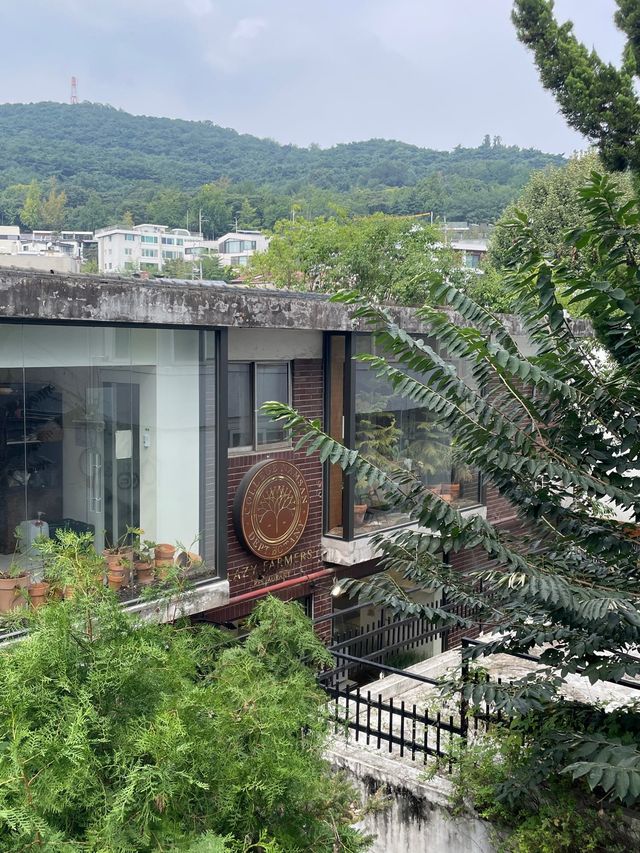 숲속에 온듯한 경리단길 비건 맛집 레이지파머스