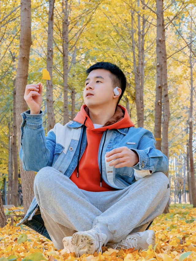 滿園金色北京本地人都很少知道的小眾秘境