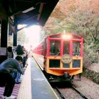 京都嵐山小火車，秋色美不勝收