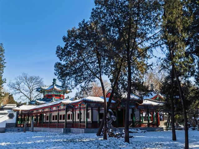 雪後遊覽東華門故宮中山公園