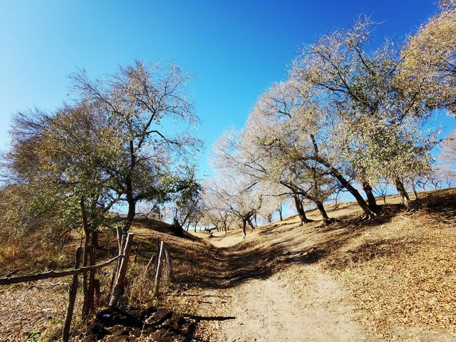 河北內蒙交界蛤蟆壩，自駕遊寶藏地景色絕美