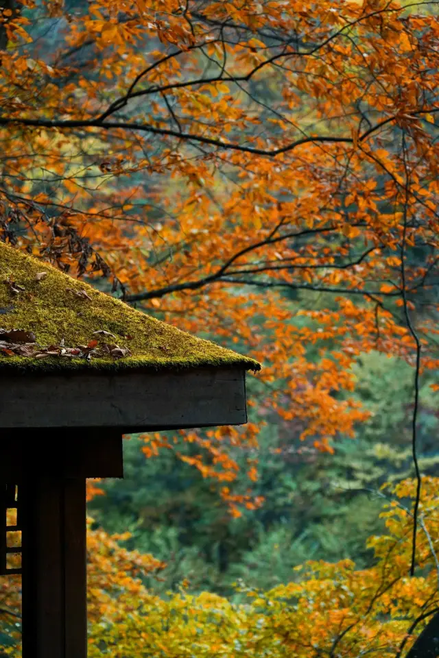 良い行き先である米倉山