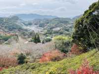 武雄溫泉之樂園