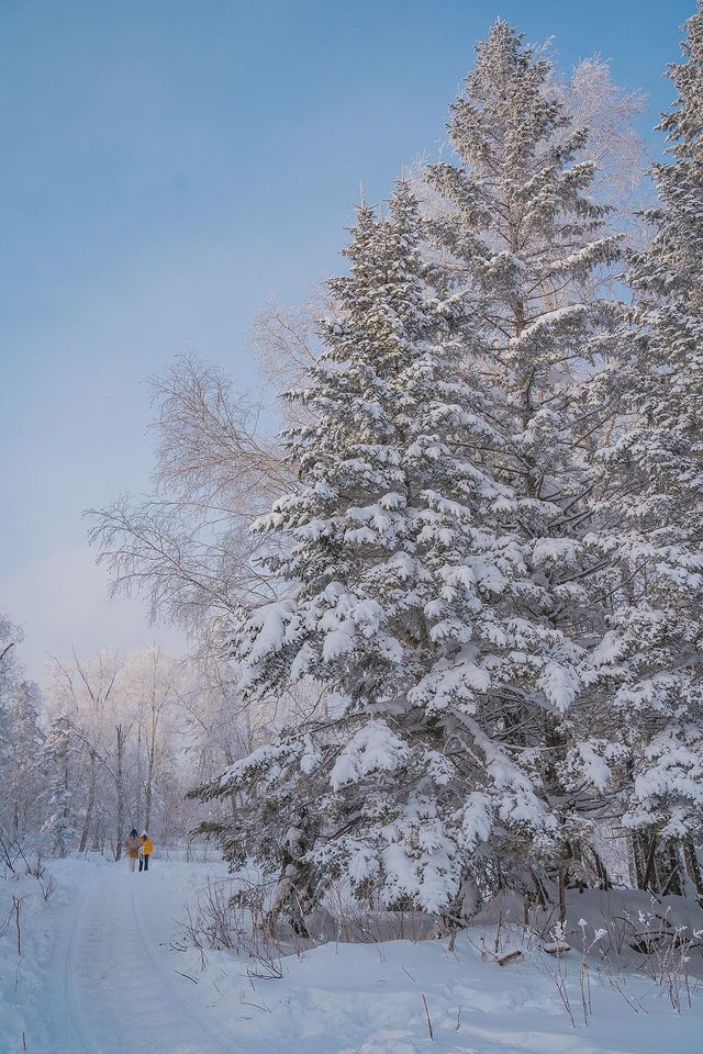 剛從來長白山雪嶺回來，強烈推薦小土豆寶們