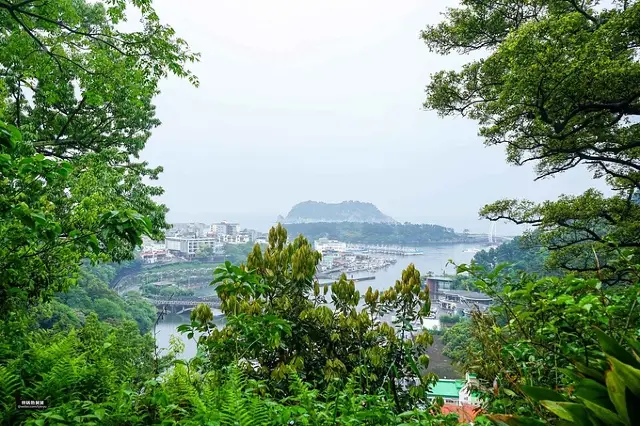 韓国の済州島、魅力的で美しい島の風景