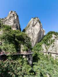 豫C洛陽｜老君山風景名勝區感受一步一景