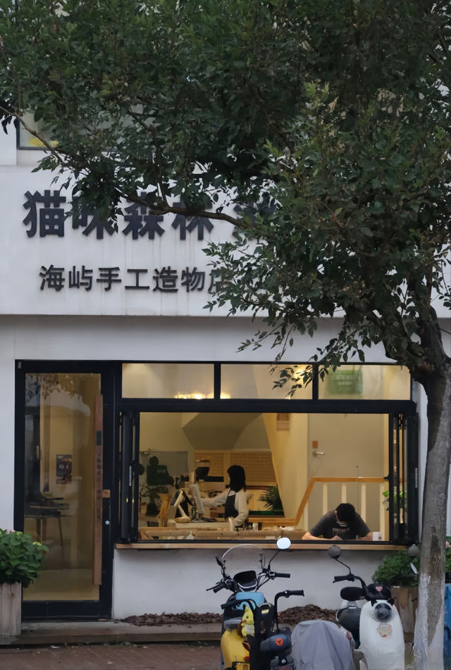 這家超美海景民宿居然有貓咪