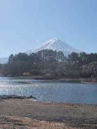 日本富士山河口湖必去地點大池公園景美超靜謐湖水雪山相映成趣