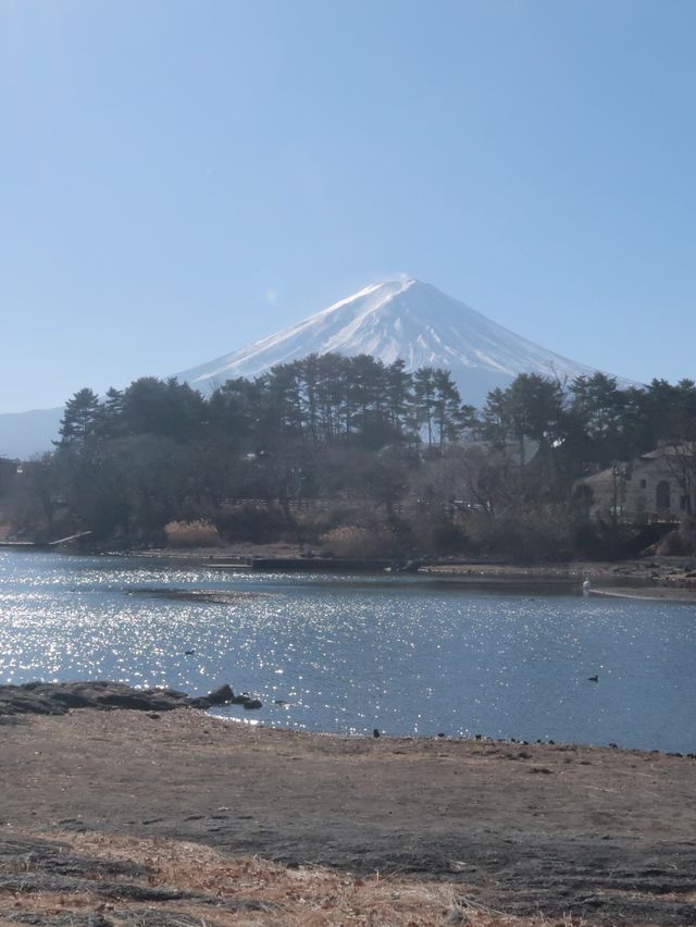 日本富士山河口湖必去地點大池公園景美超靜謐湖水雪山相映成趣