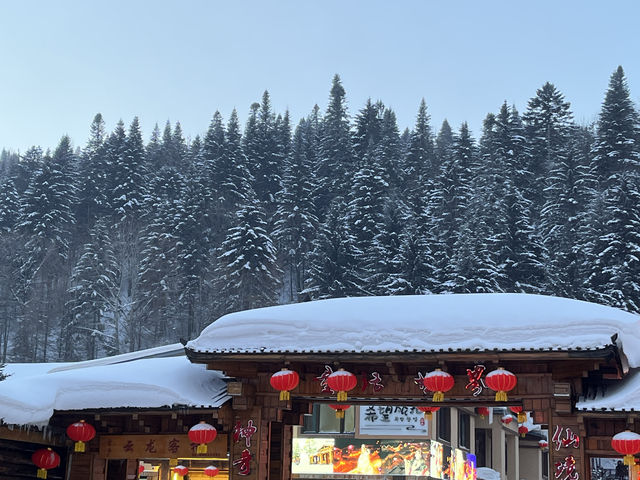 哈爾濱雪鄉一日遊 沒去的朋友們一定要看哦！分享真實感受