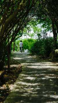 靜聽風鳴～崇明東灘濕地公園
