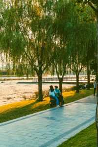 收藏！帶你領略九月的北龍湖濕地公園有多美