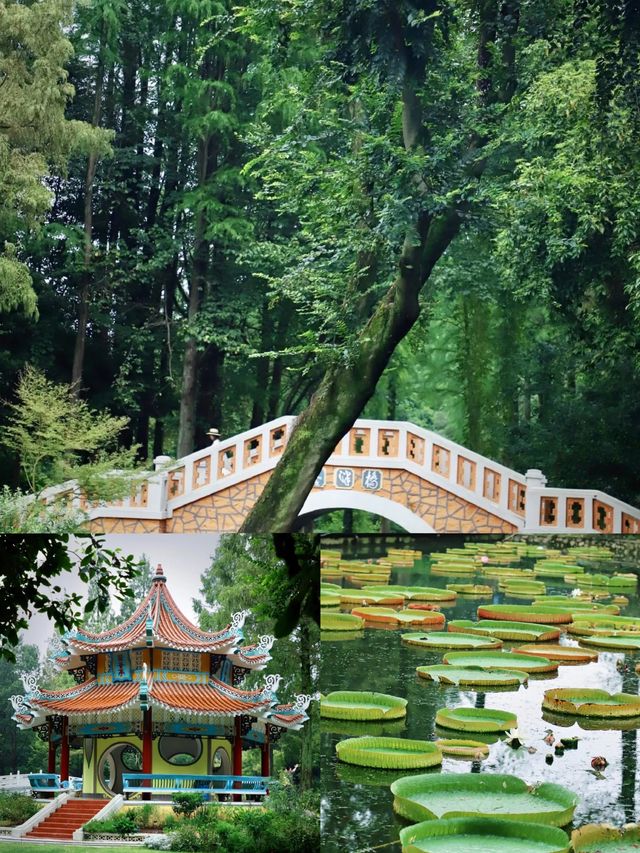 國慶打卡好去處～～武漢植物園